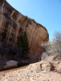 20160405 Cliff Wall at Natural Bridges